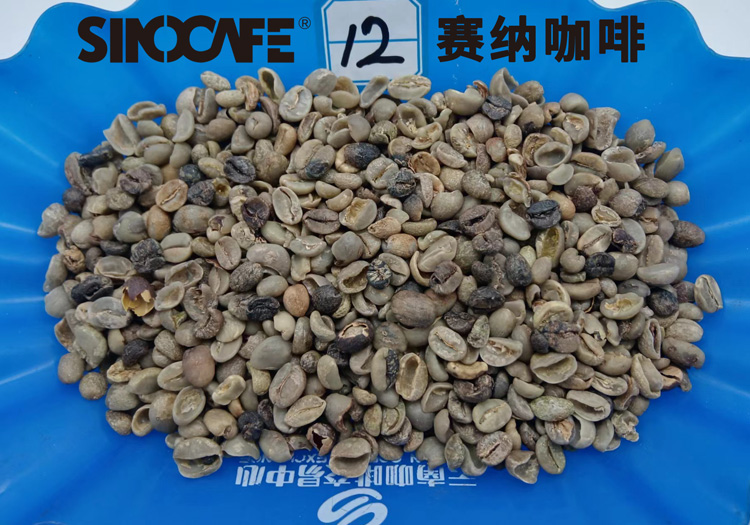 中国阿拉比卡咖啡思茅三级12-18目